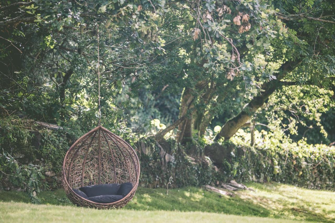 Boringdon Hall Hotel And Spa Plymouth Exterior photo Egg chair